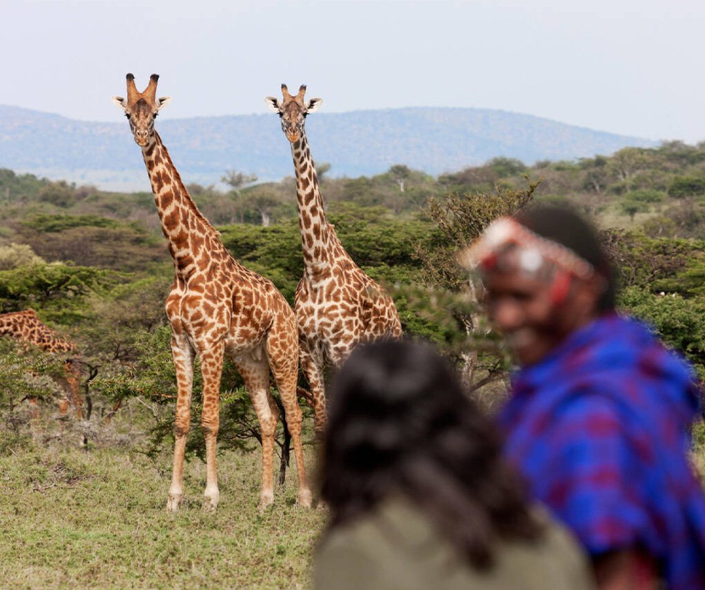 Sustainable Tourism in Kenya