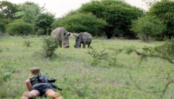 wildlife conservation volunteer tour in Kenya