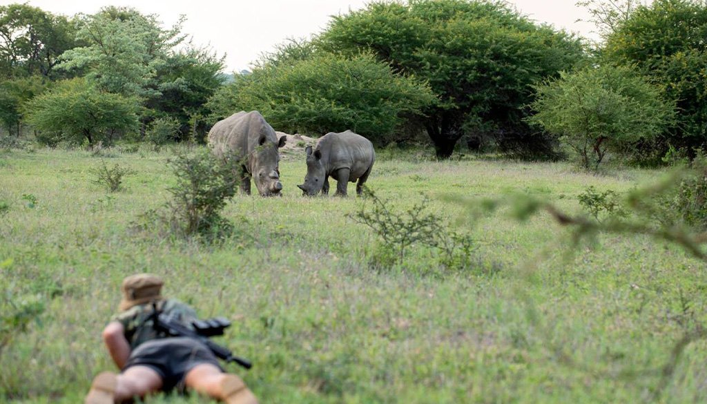 wildlife conservation volunteer tour in Kenya