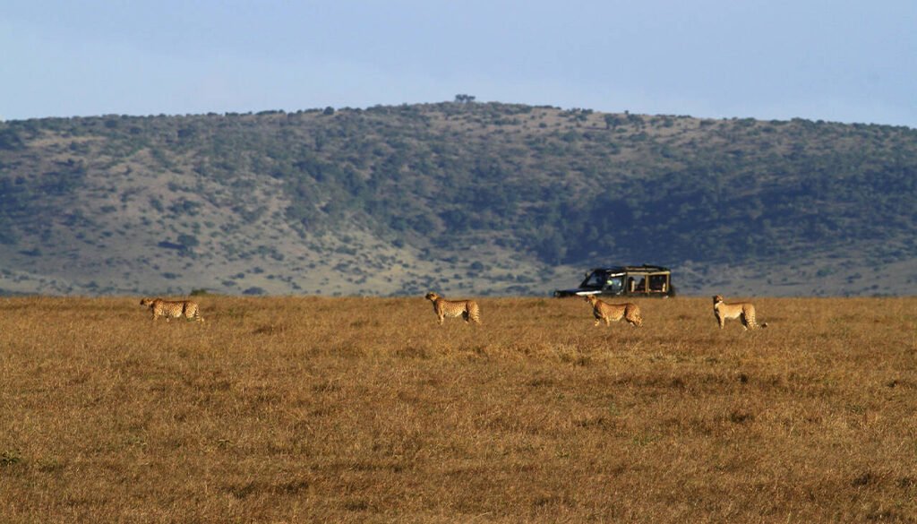 African Safari Cost