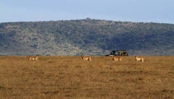 African Safari Cost