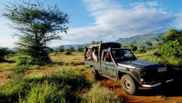 Safari Tipping
