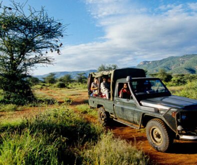 Safari Tipping