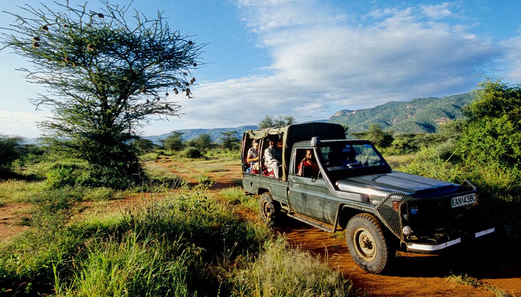 Safari Tipping