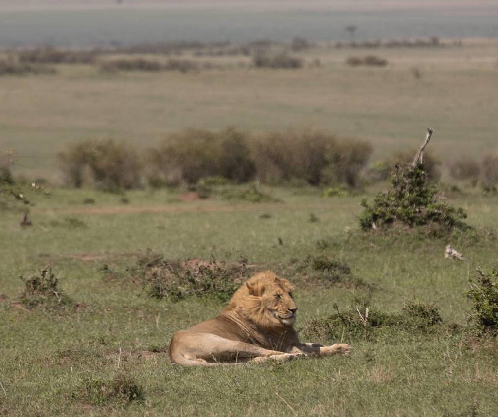 how far in advance to book an African safari