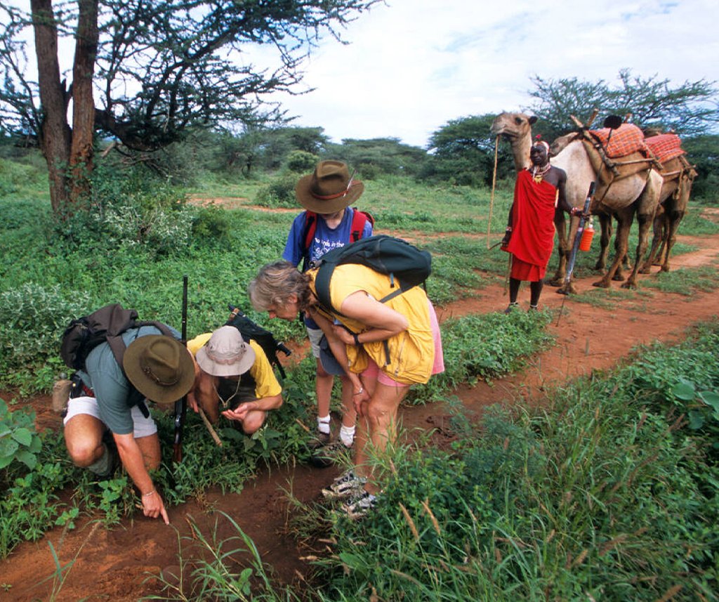 Safari Tipping