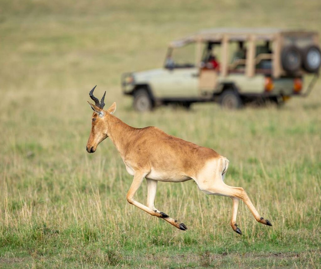 how far in advance to book an African safari