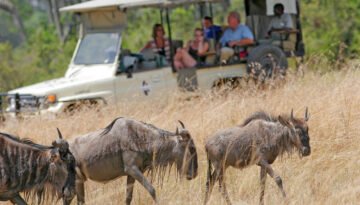 how far in advance to book an African safari