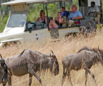how far in advance to book an African safari