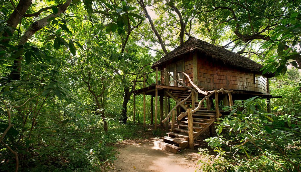 Lake Manyara Tree Lodge
