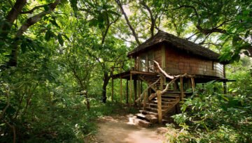 Lake Manyara Tree Lodge