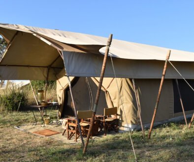 andBeyond Serengeti Under Canvas