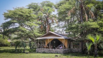 Chem Chem Safari Lodge