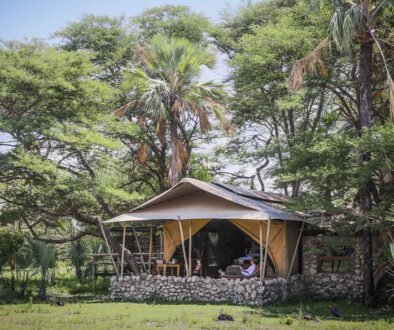 Chem Chem Safari Lodge