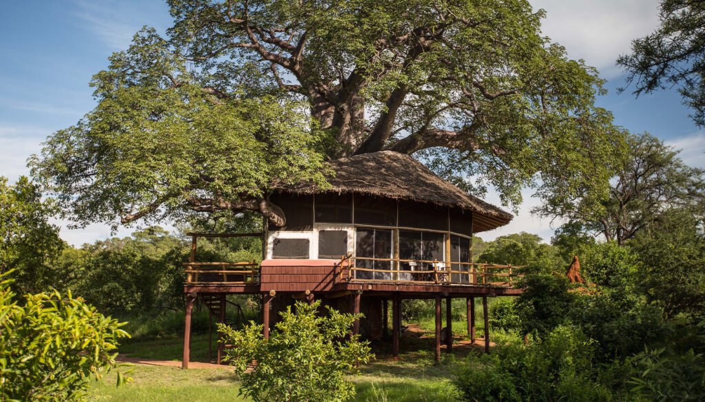Tarangire Treetops Tanzania