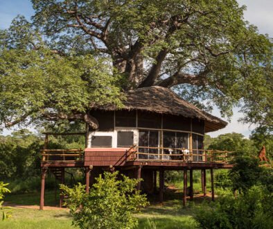 Tarangire Treetops Tanzania