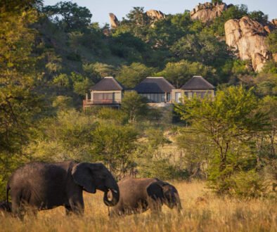 Four Seasons Serengeti