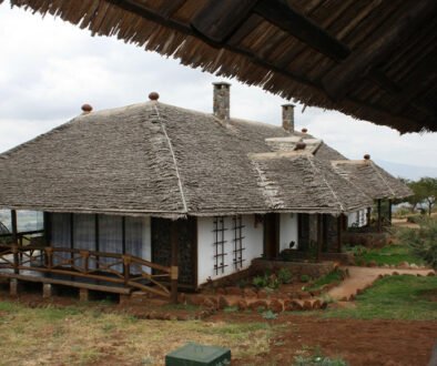Lake Manyara Kilimamoja Lodge