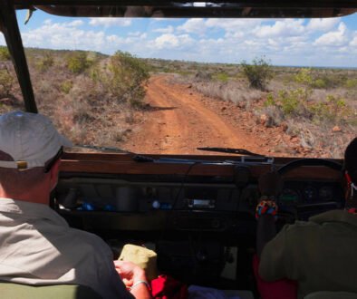 Ethical Wildlife Tourism