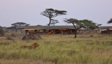 Namiri Plains