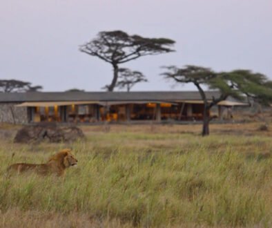Namiri Plains