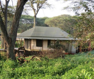 Sanctuary Swala Camp