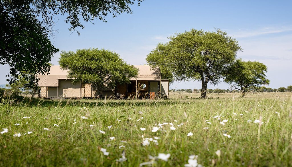 Singita Sabora Tented Camp Serengeti
