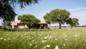 Singita Sabora Tented Camp Serengeti