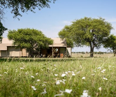Singita Sabora Tented Camp Serengeti