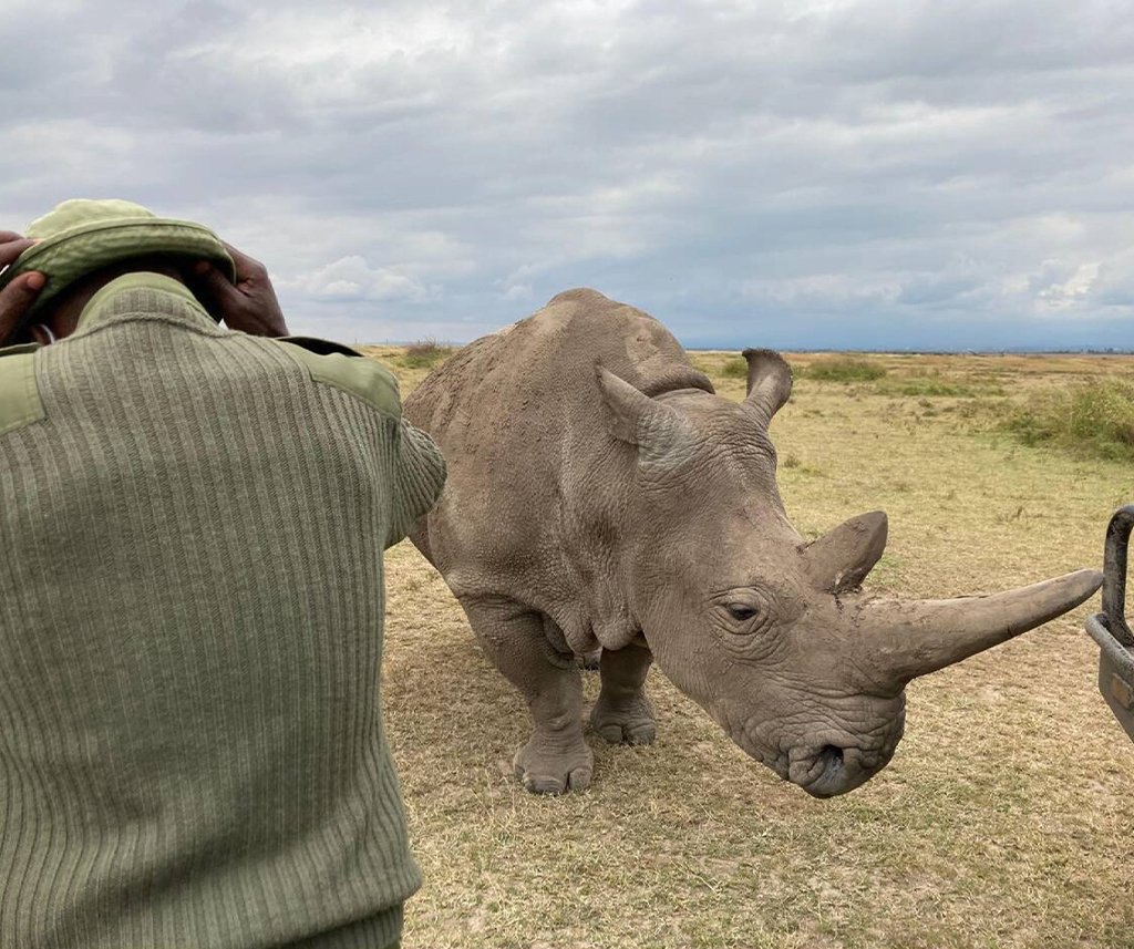 Ethical Wildlife Tourism