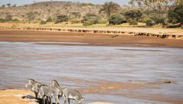 Samburu Special Five