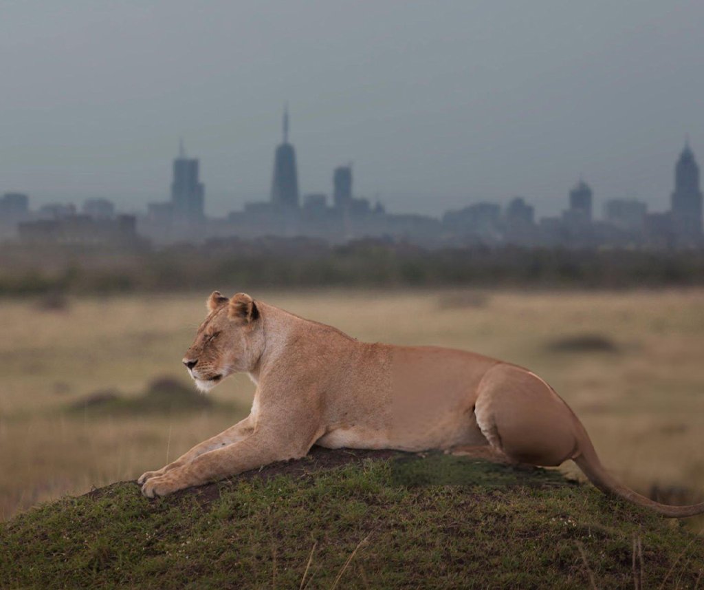 Is Kenya safe for safari