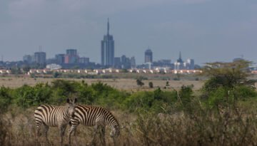 Is Kenya safe for safari