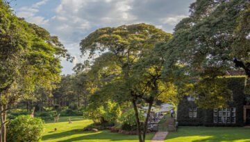 best eco lodges in Kenya