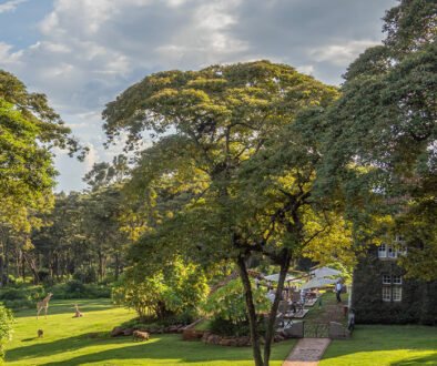 best eco lodges in Kenya