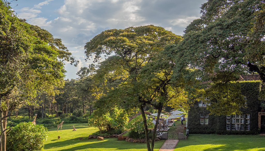 best eco lodges in Kenya