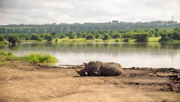 difference between a national park and a private conservancy