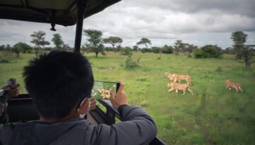 best place in Africa for a safari with Kids